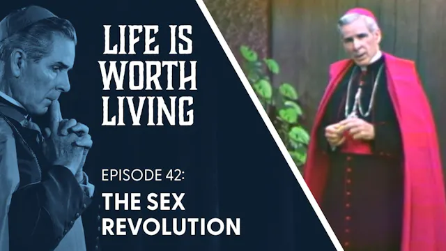 42. The Sex Revolution