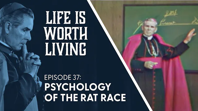 37. Psychology of the Rat Race