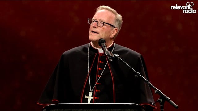 Bishop Robert Barron - One of The Gre...