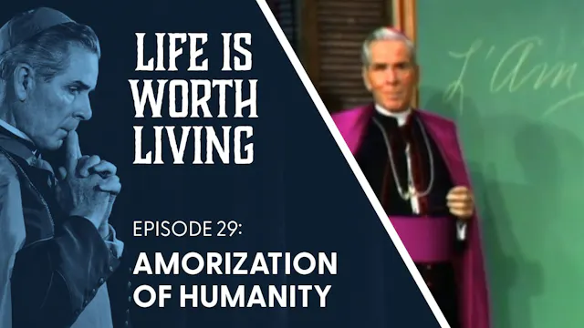 29. Amorization of Humanity