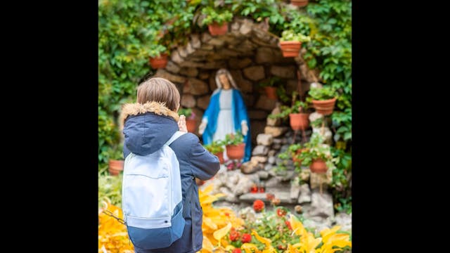 Why Do Catholics Pray to Mary and the...