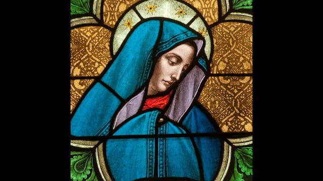 Why Marian Dogmas Matter: A Heartfelt...