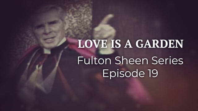 19. Love is a Garden