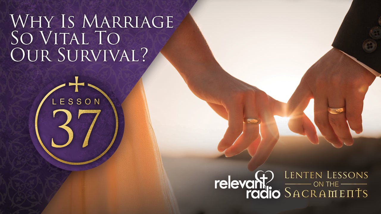 Lesson 37 - Why is Marriage so Vital to Our Survival?