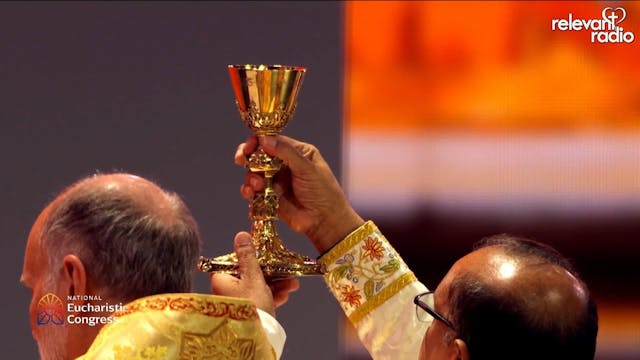 Holy Mass at the NEC - Saturday, July...