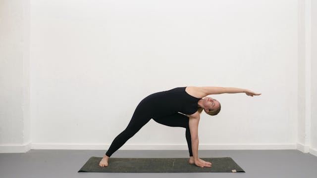 Extended side angle pose - Yogipedia