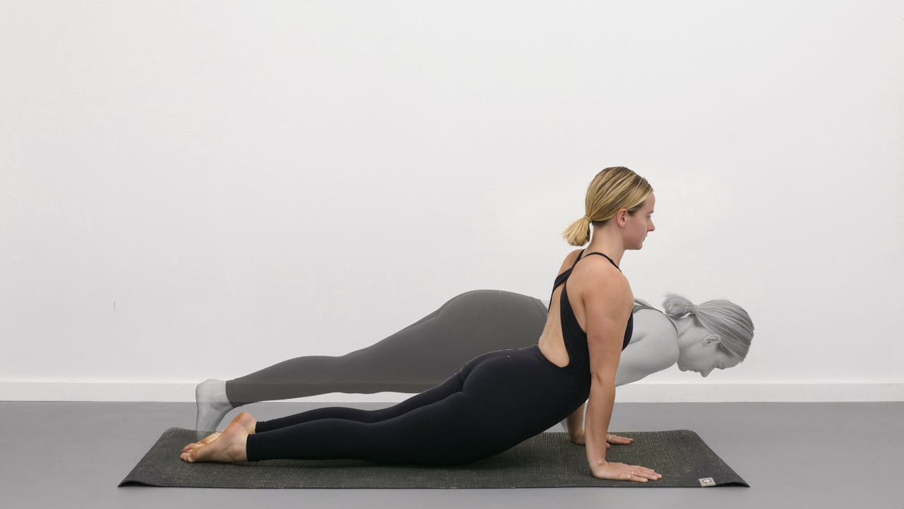 Chaturanga to Upward facing dog - Transition - Renew Yoga