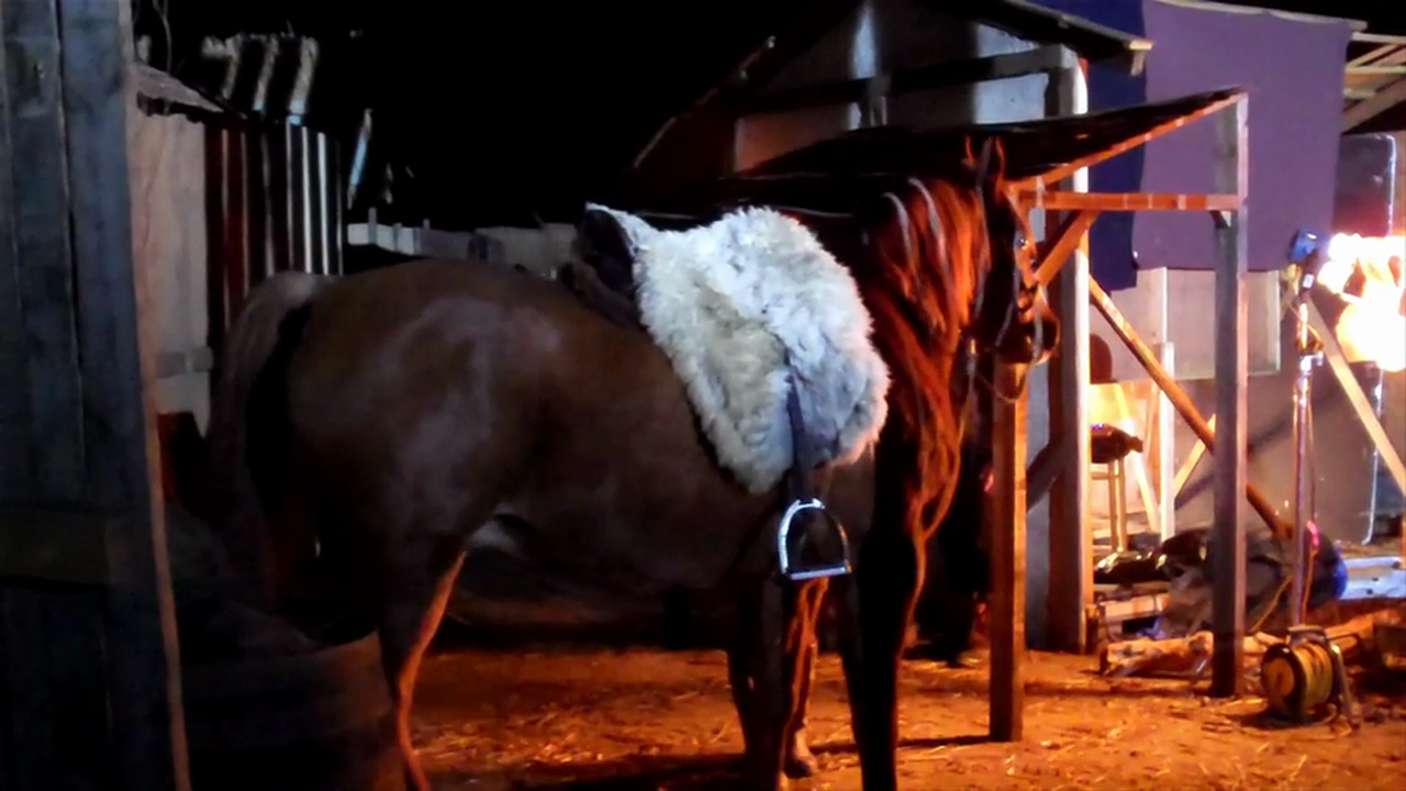 B-roll: Horses & flaming arrows