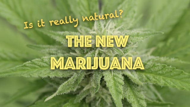 The New Marijuana