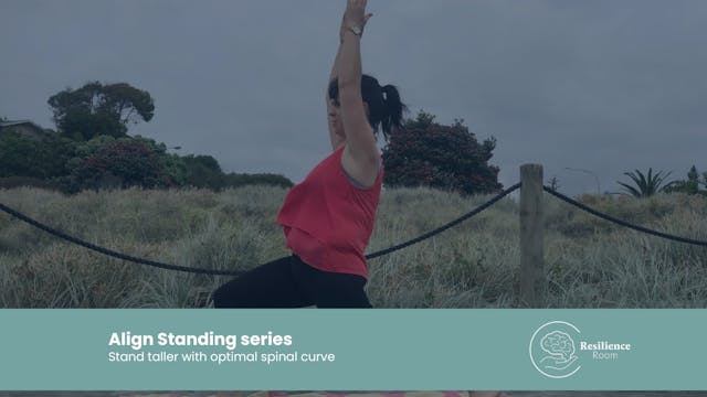 Align  Standing series