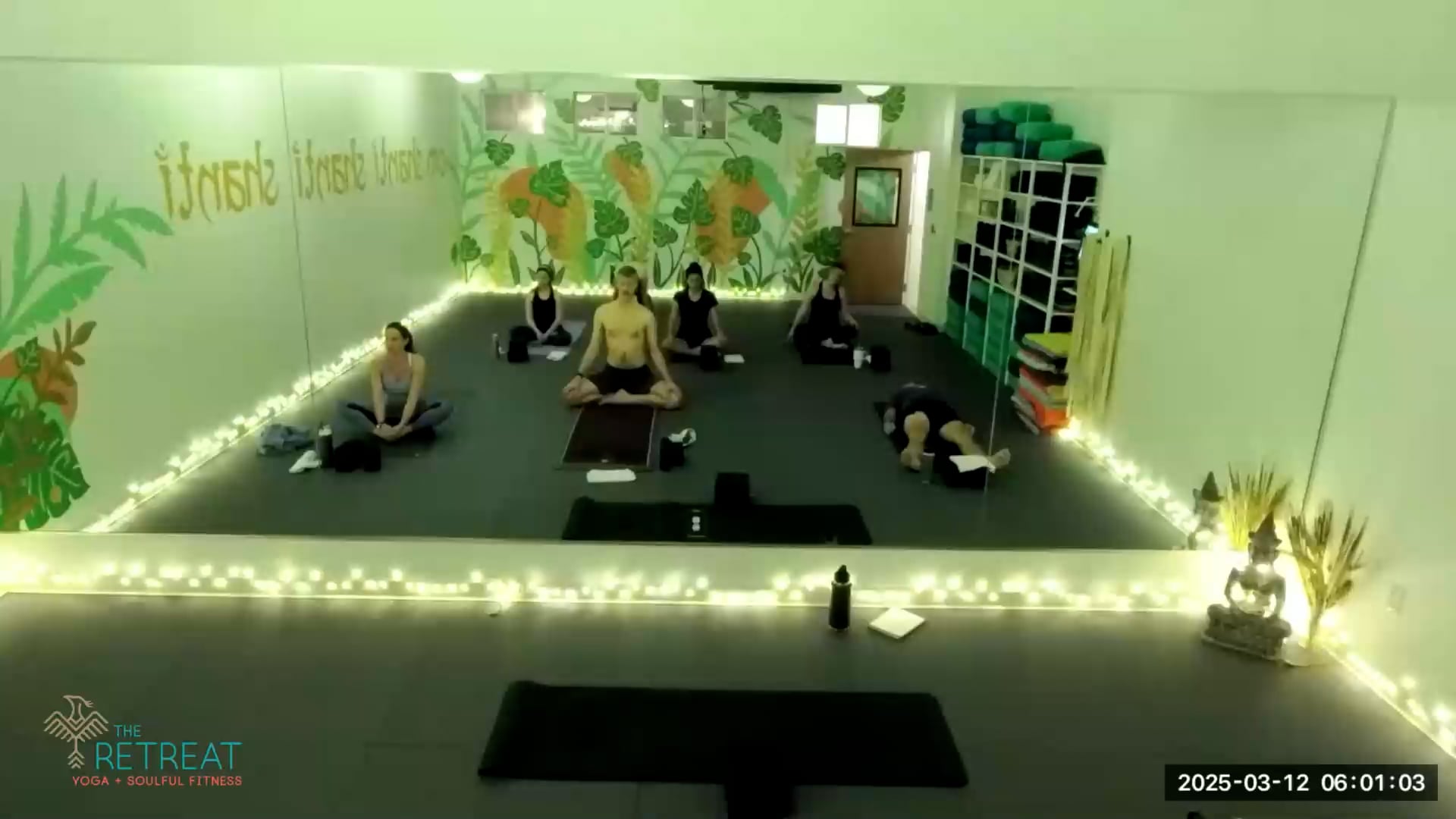 Vinyasa Flow - Alaina S - 3/12/25