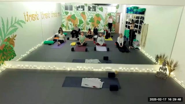 Gentle Flow Robin 2/17/25
