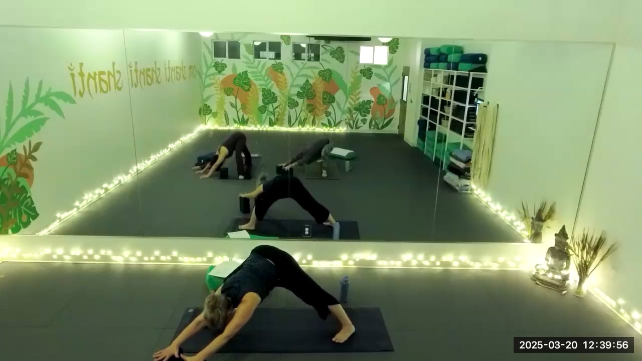 Vinyasa Flow - Rachel - 3/20/25