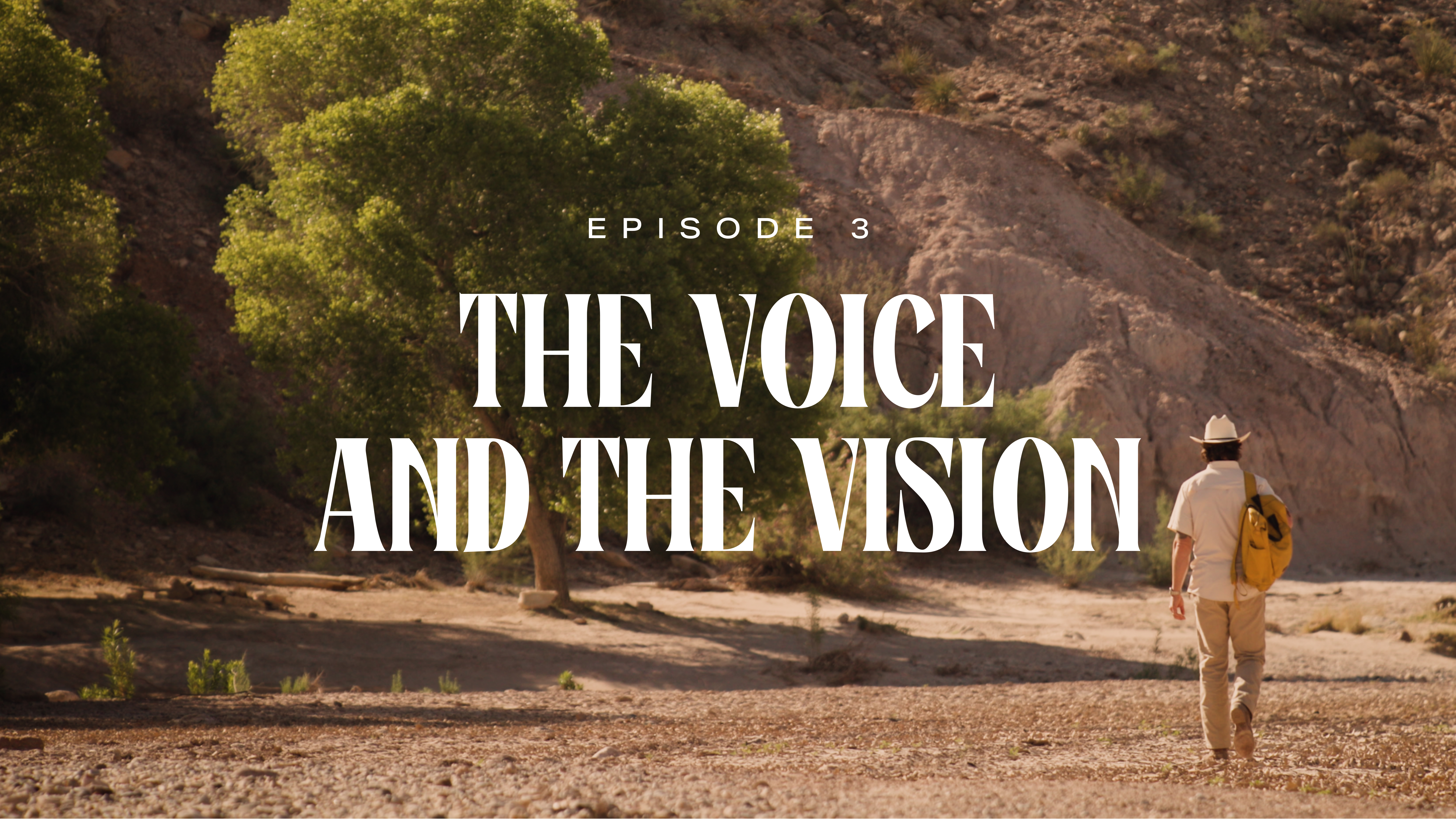 3 - The Voice and the Vision