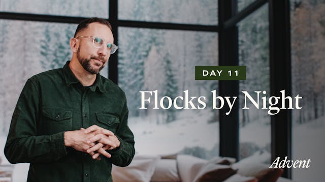 Day 11: Flocks by Night