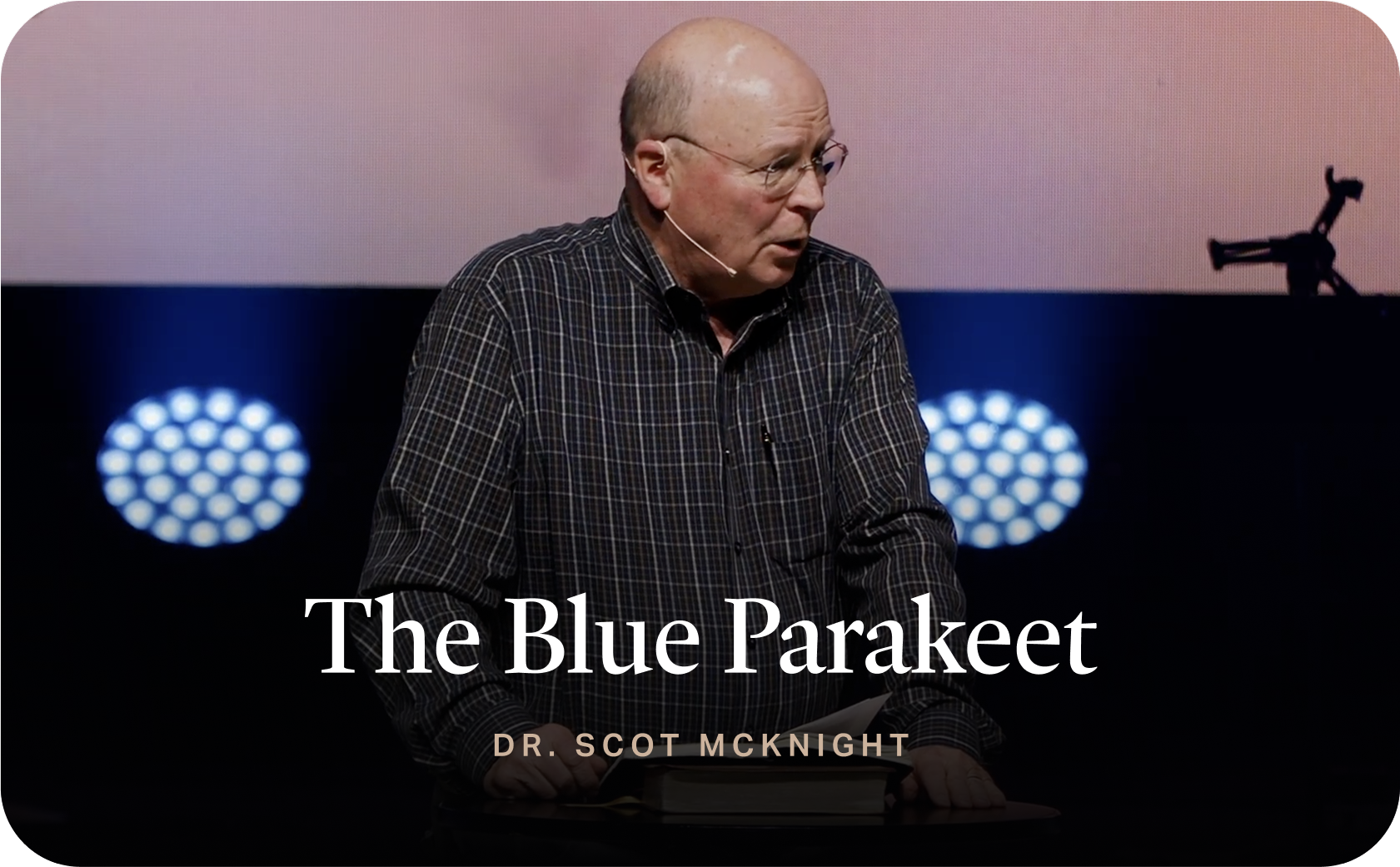 The Blue Parakeet
