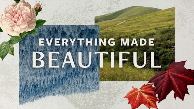 Everything Made Beautiful