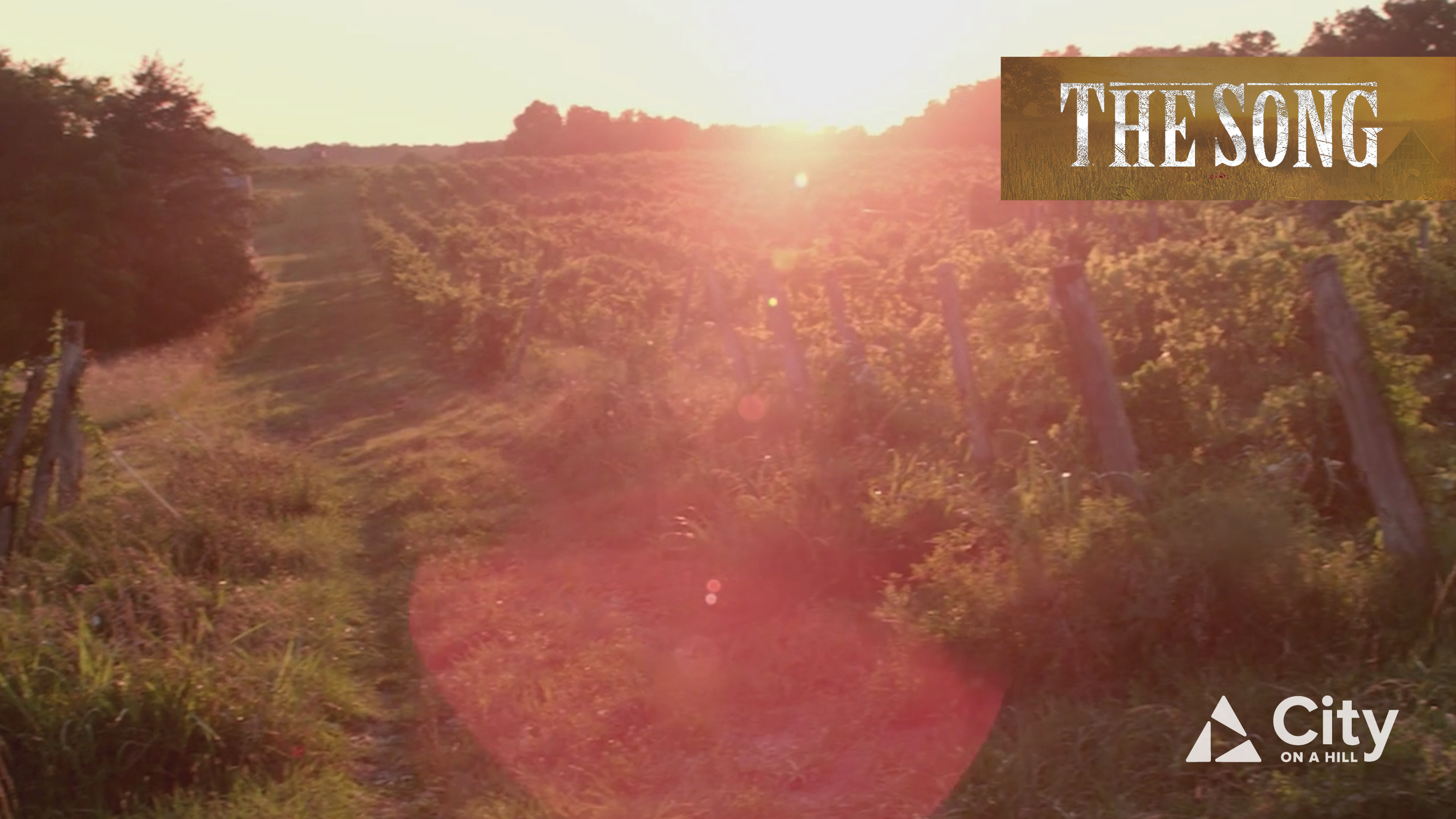 5. Cultivating Commitment