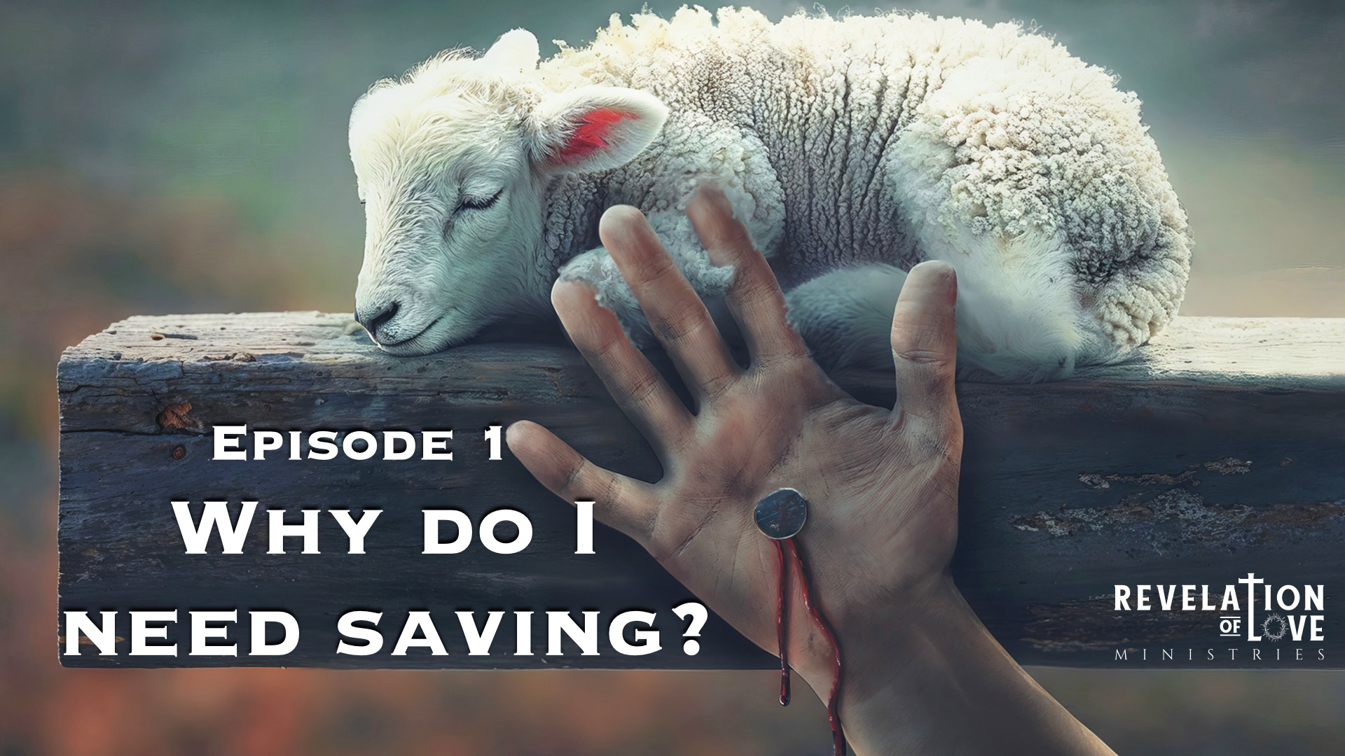 Episode 1 - Why do i need saving?