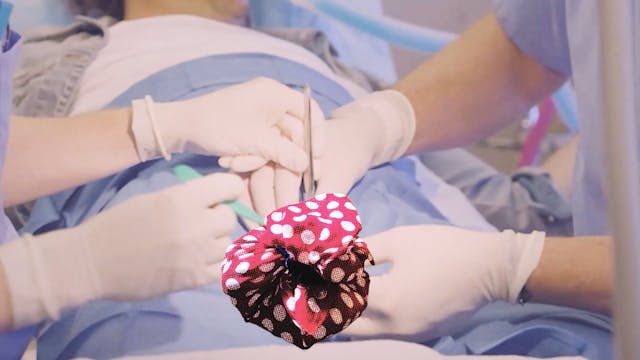 Vasectomy for Women's Rights - $333 Edition