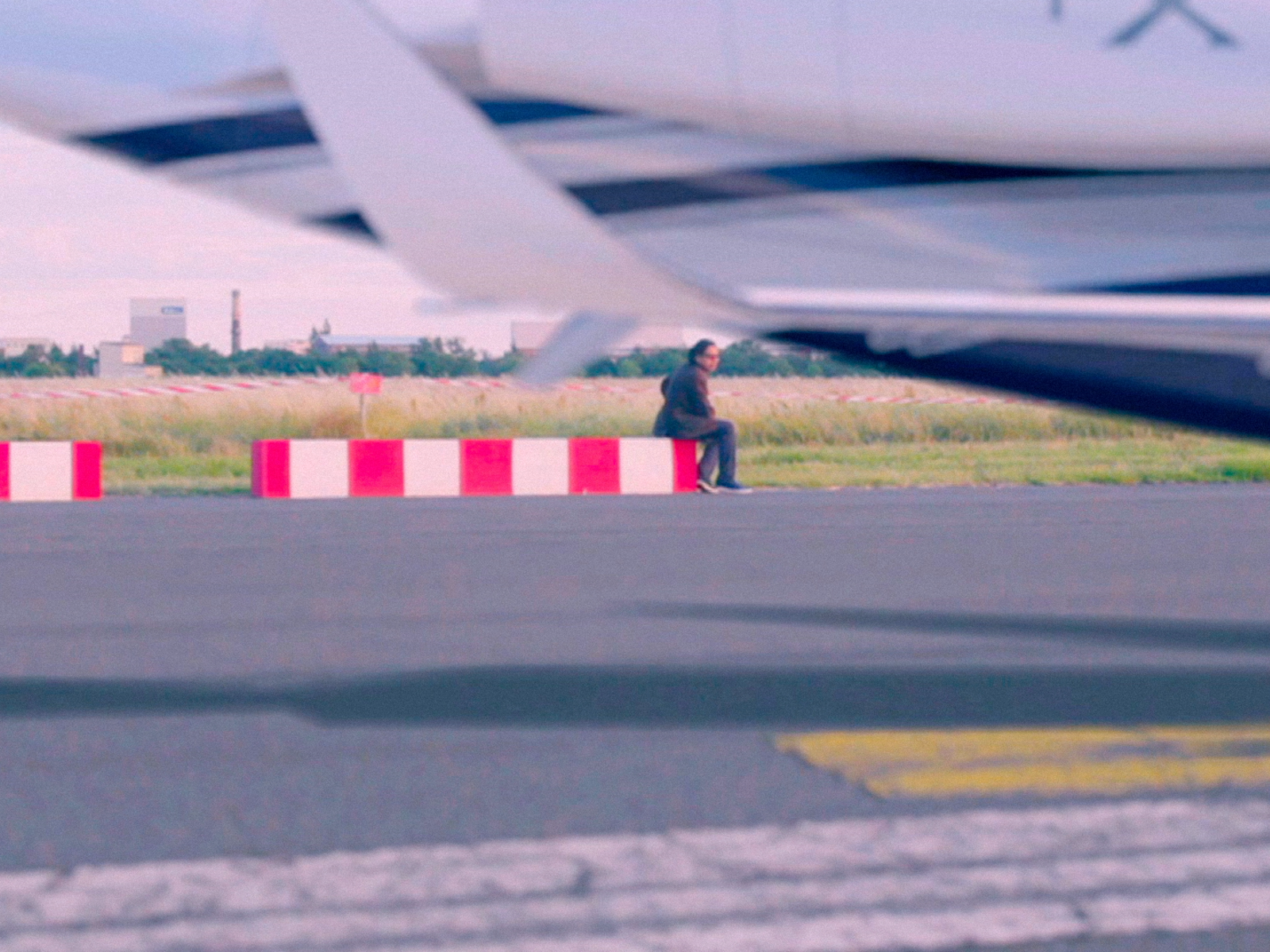 5. The Art of the Love War