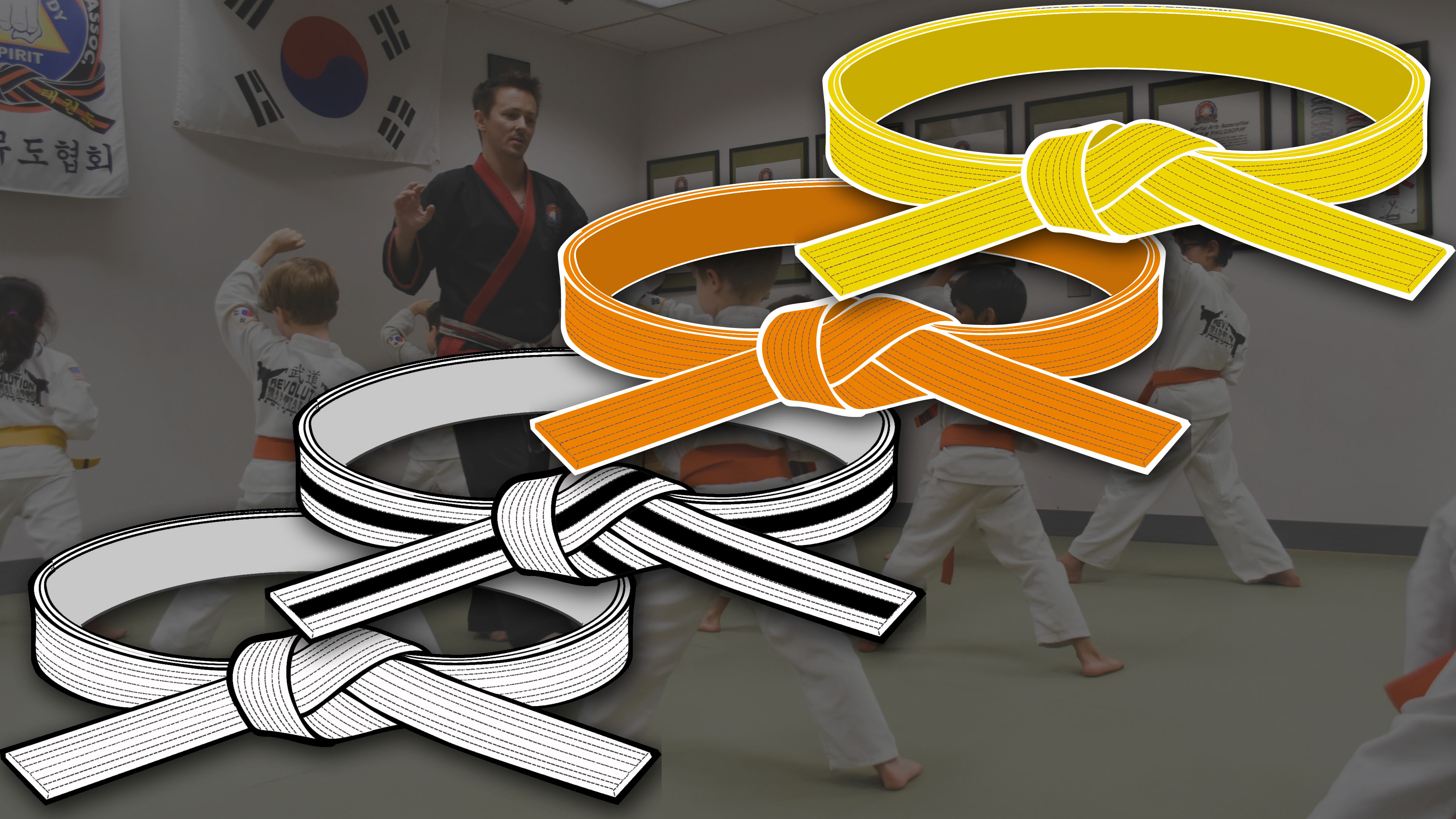 Beginner Level Martial Arts - PILSUNG MOO DO