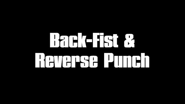 BackfistReversePunch