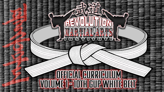 REVOLUTION MARTIAL ARTS INSTITUTE - VOLUME 1 