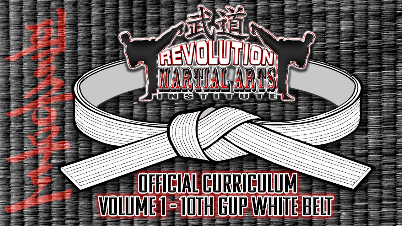 REVOLUTION MARTIAL ARTS INSTITUTE - VOLUME 1 