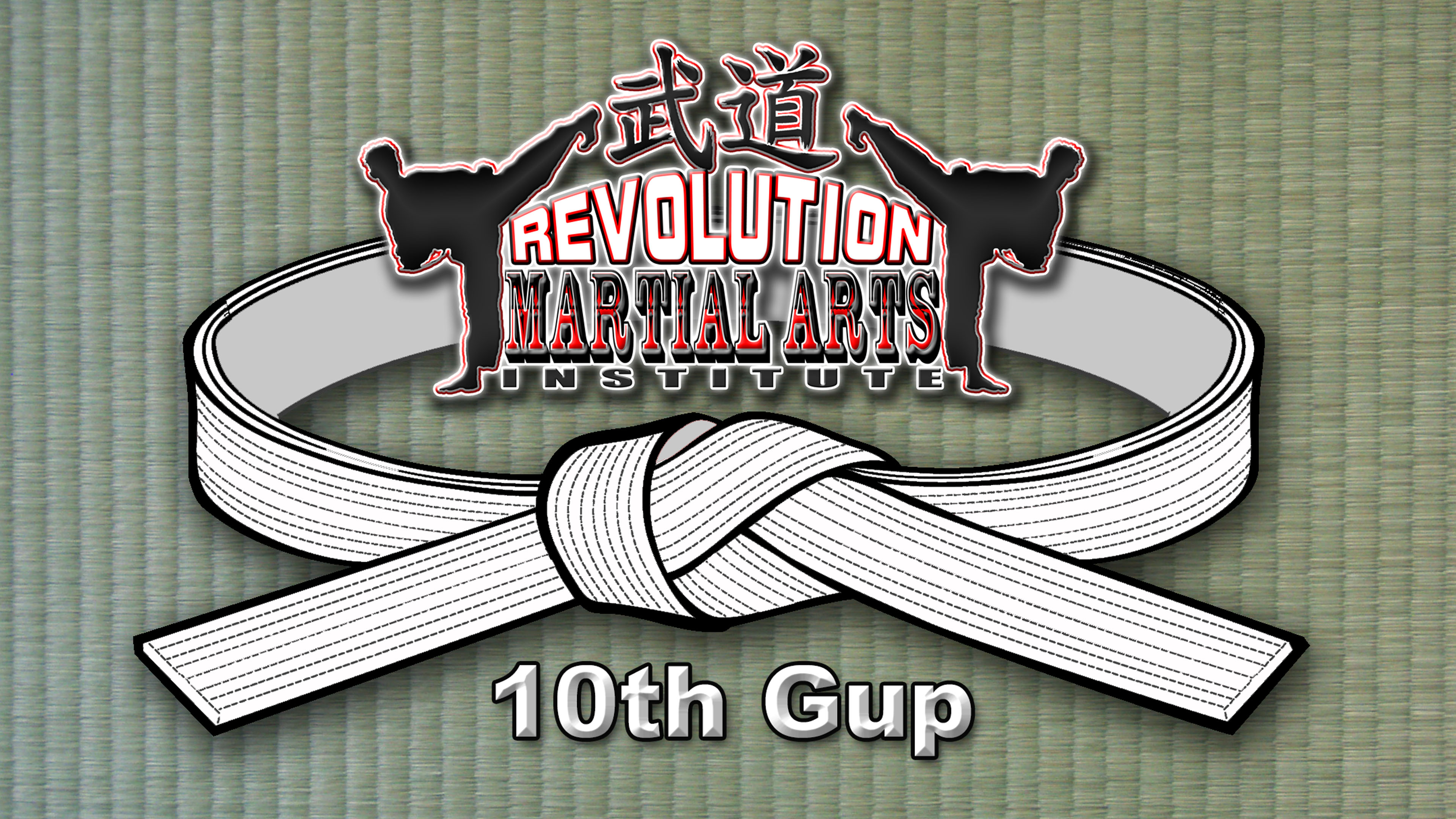 Beginner Level - 10th Gup White Belt