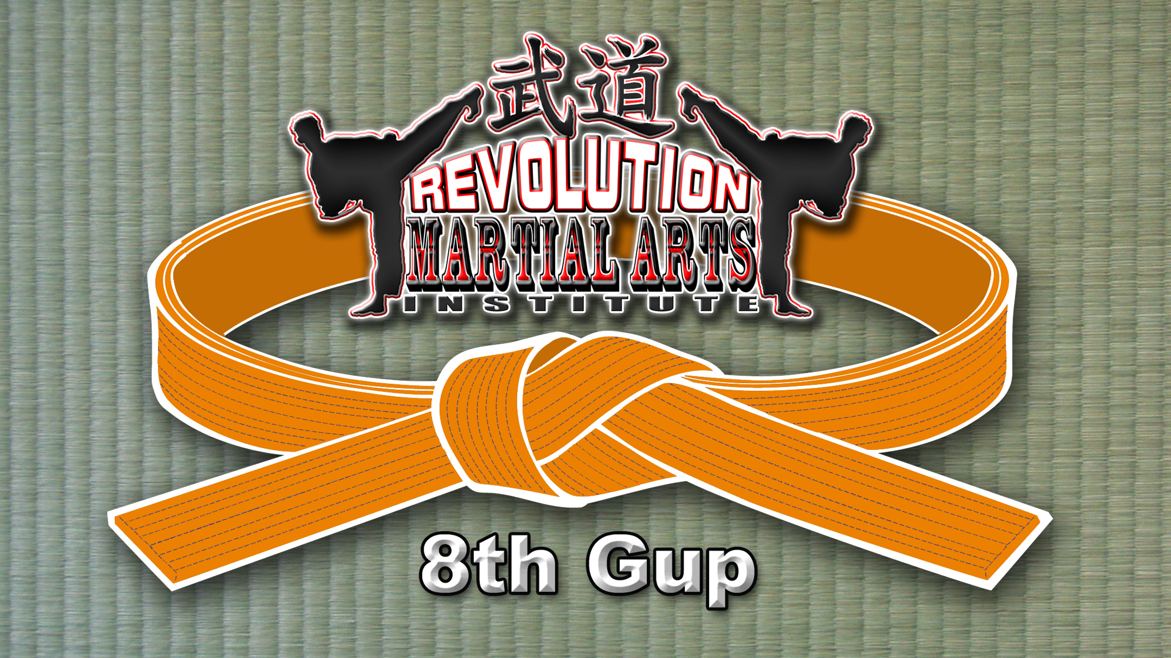 Beginner Level - 8th Gup Orange Belt