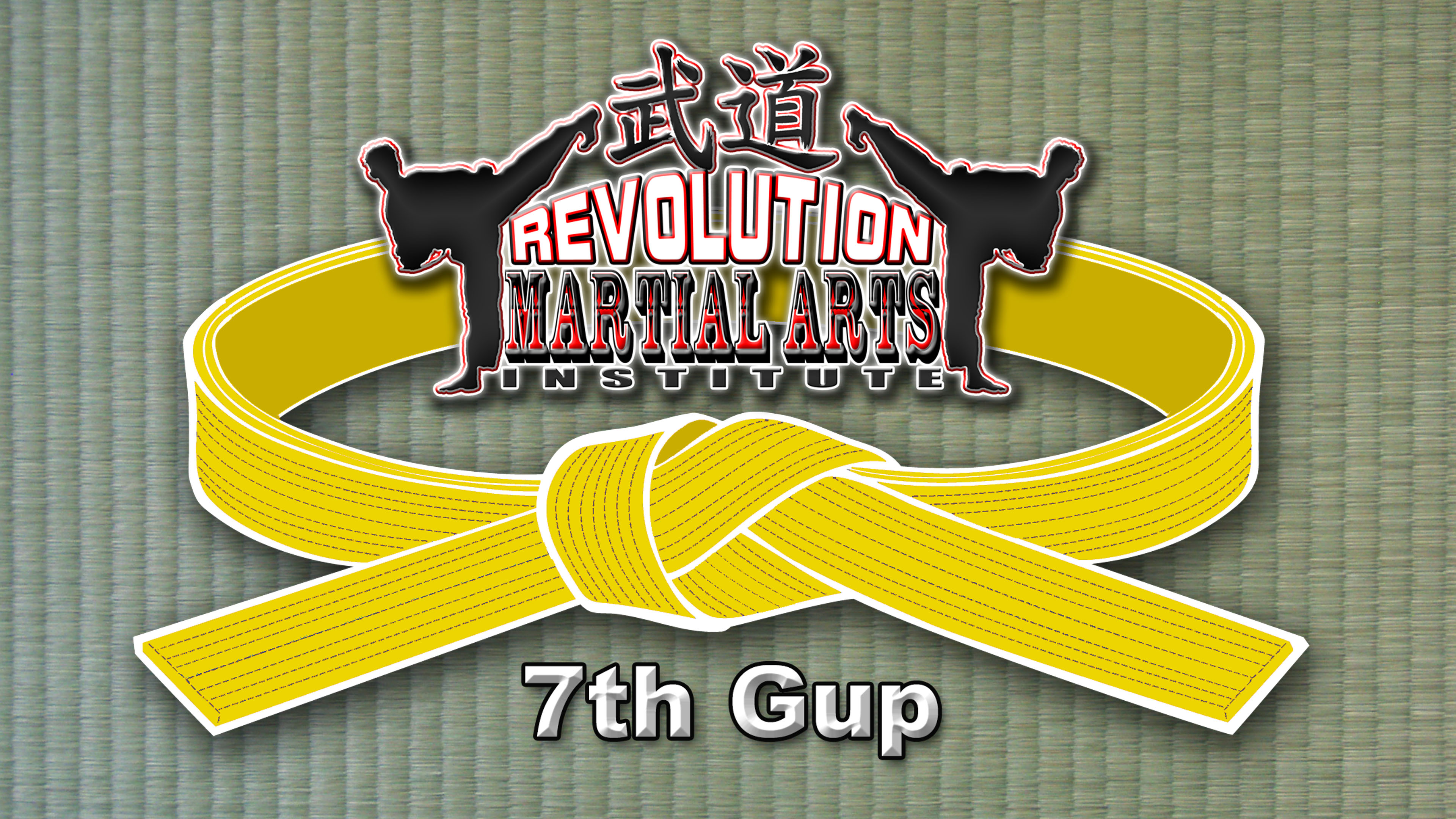 Beginner Level - 7th Gup Yellow Belt