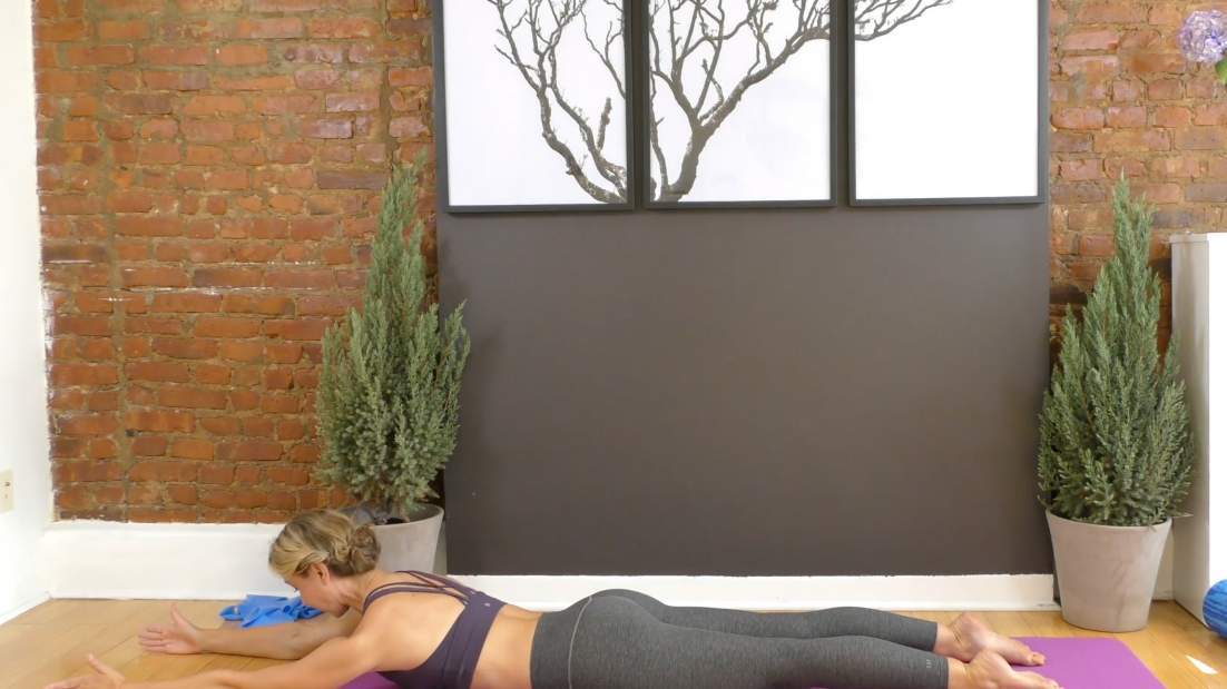  DAY 4 + 5 : Back Strength + Mobility, 35 Min.