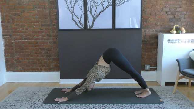 THANKSGIVING LIVE STREAM : Vinyasa Yoga Flow: 34 Min.