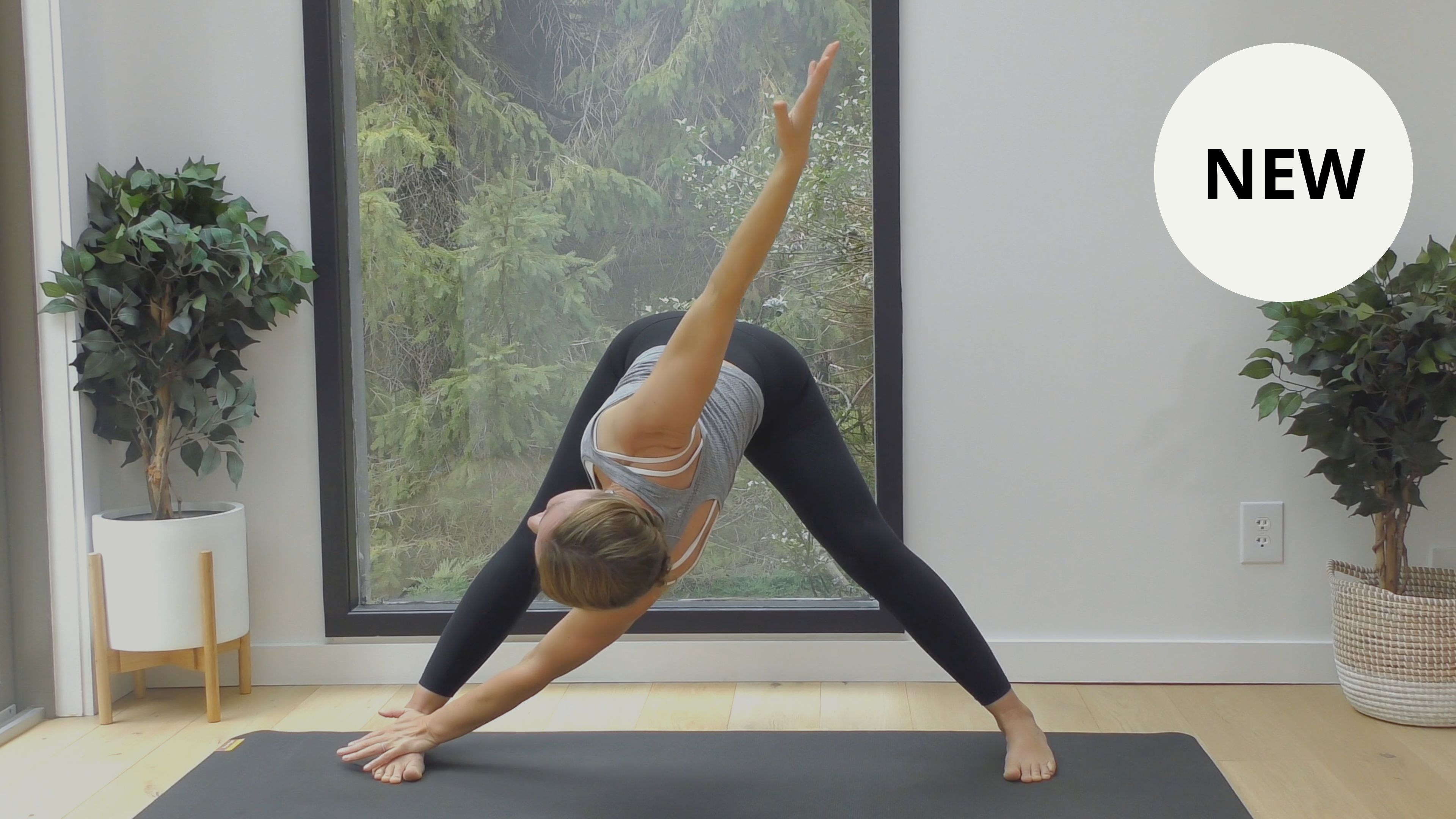 NEW: Back Release + Mobility, 6 Min.