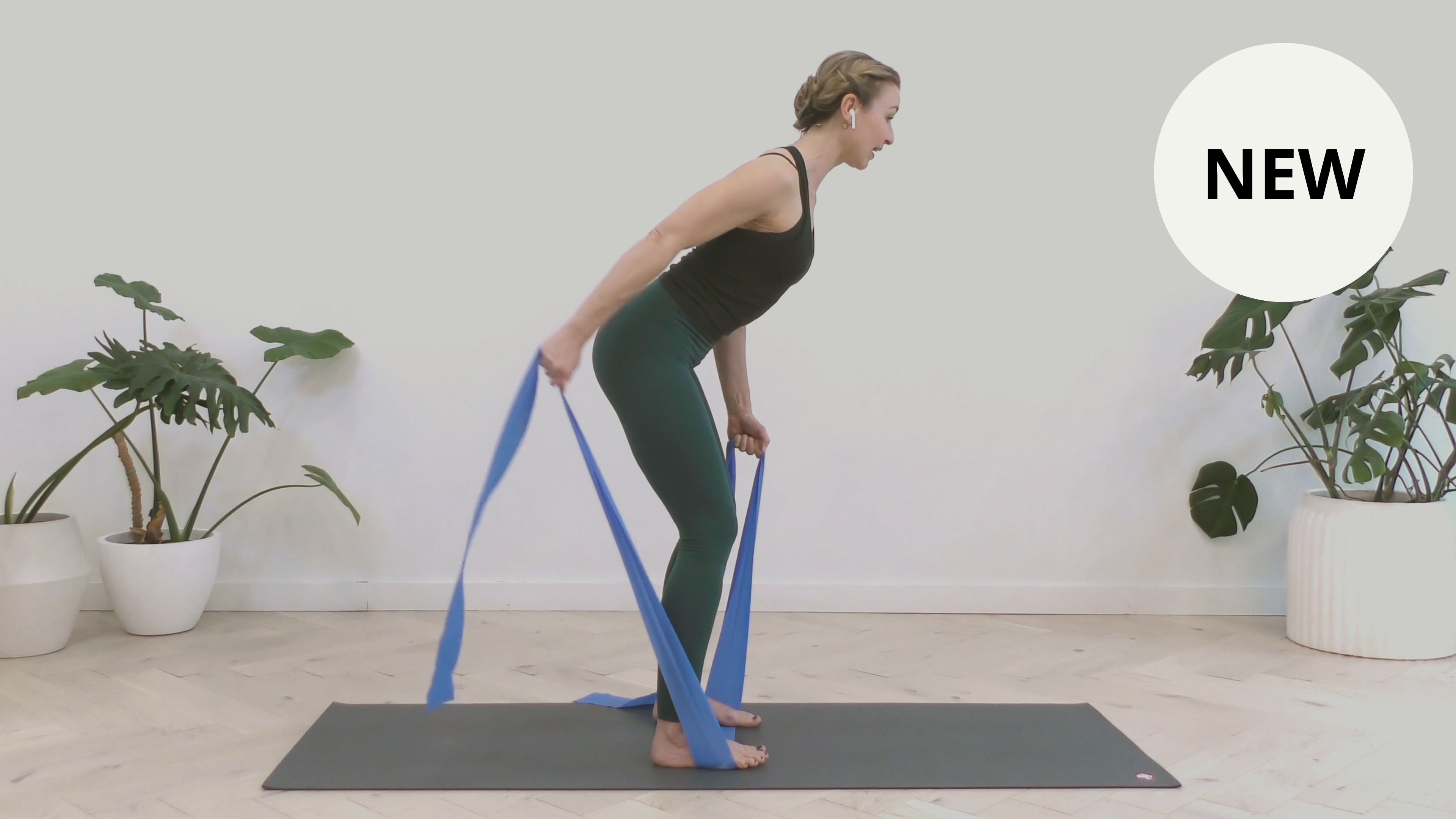 *NEW* Banded Arm + Back Sculpt, 7 Min.