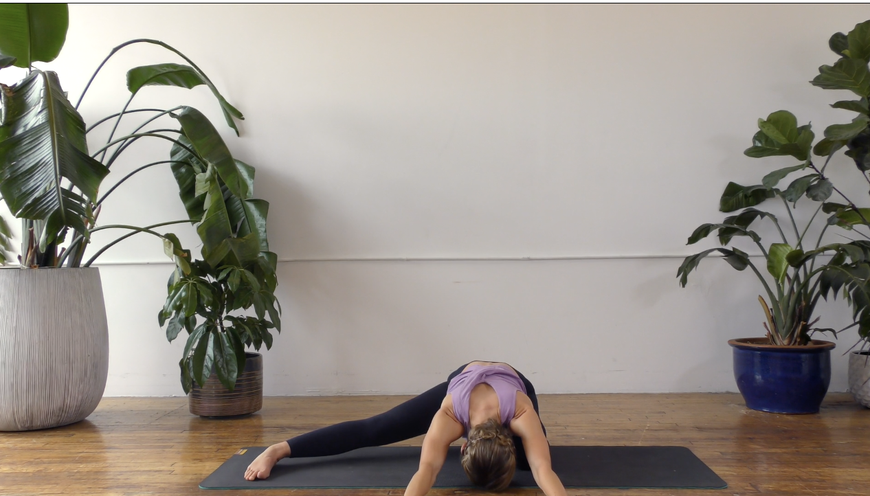 Thanksgiving '24 'Appreciation + Abundance', 45 Min.