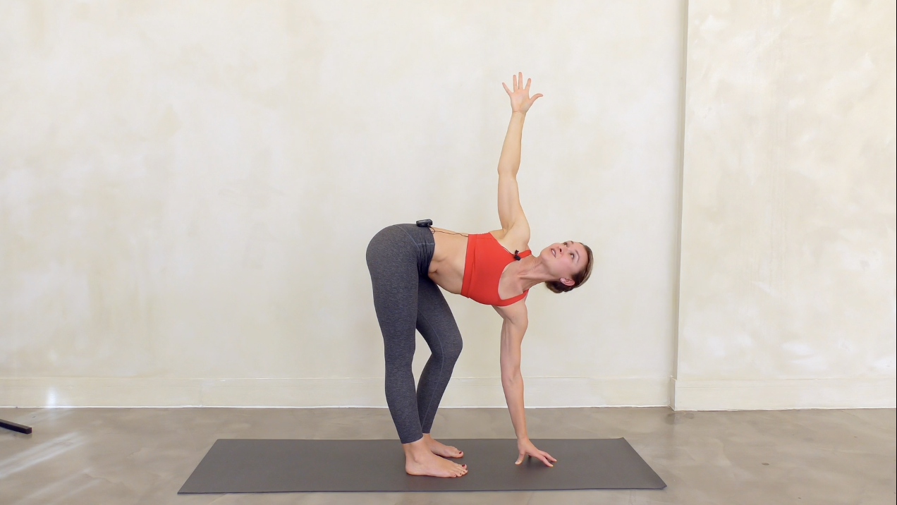 WARM UP : Back + Shoulders