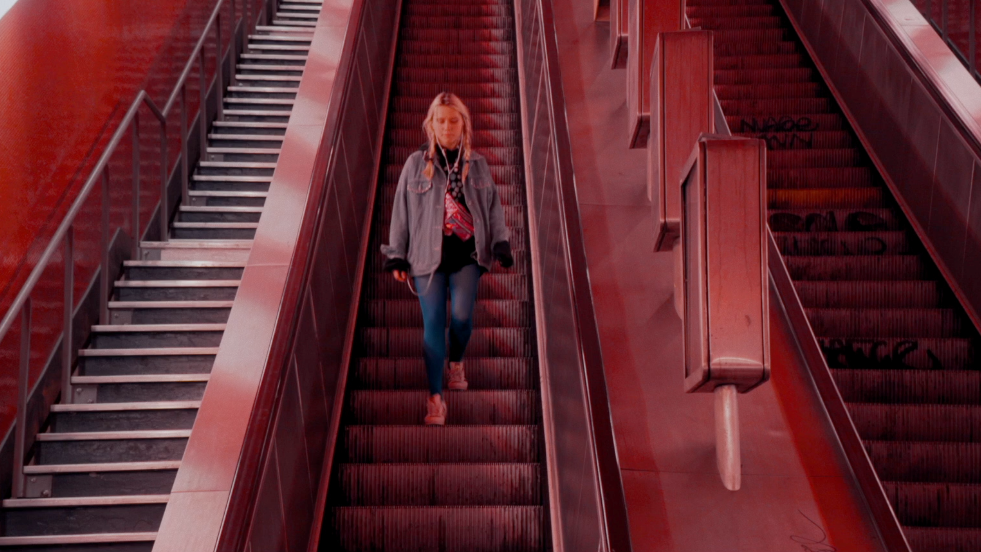 Why Moths Fly To The Light
