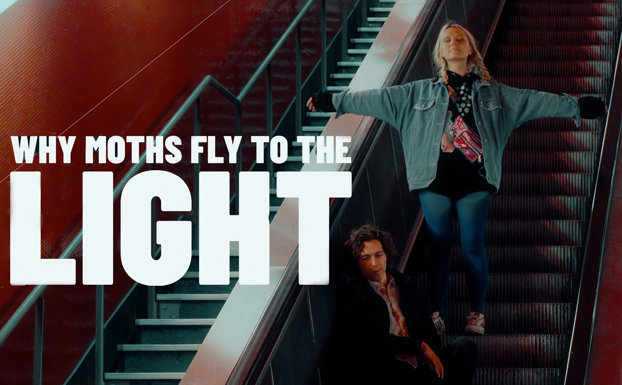 Why Moths Fly To The Light