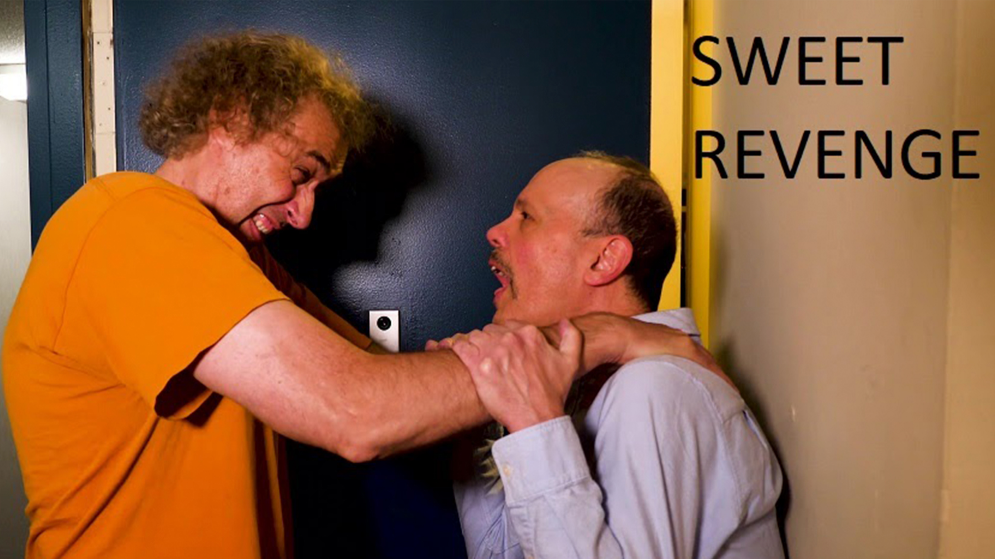 Sweet Revenge