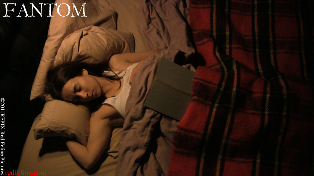 Red Feline Pictures Video