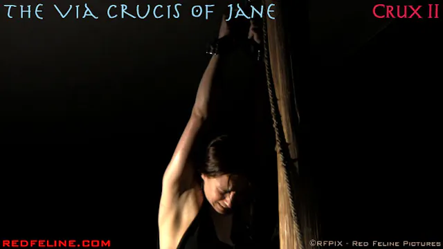 Via Crucis Of Jane 2