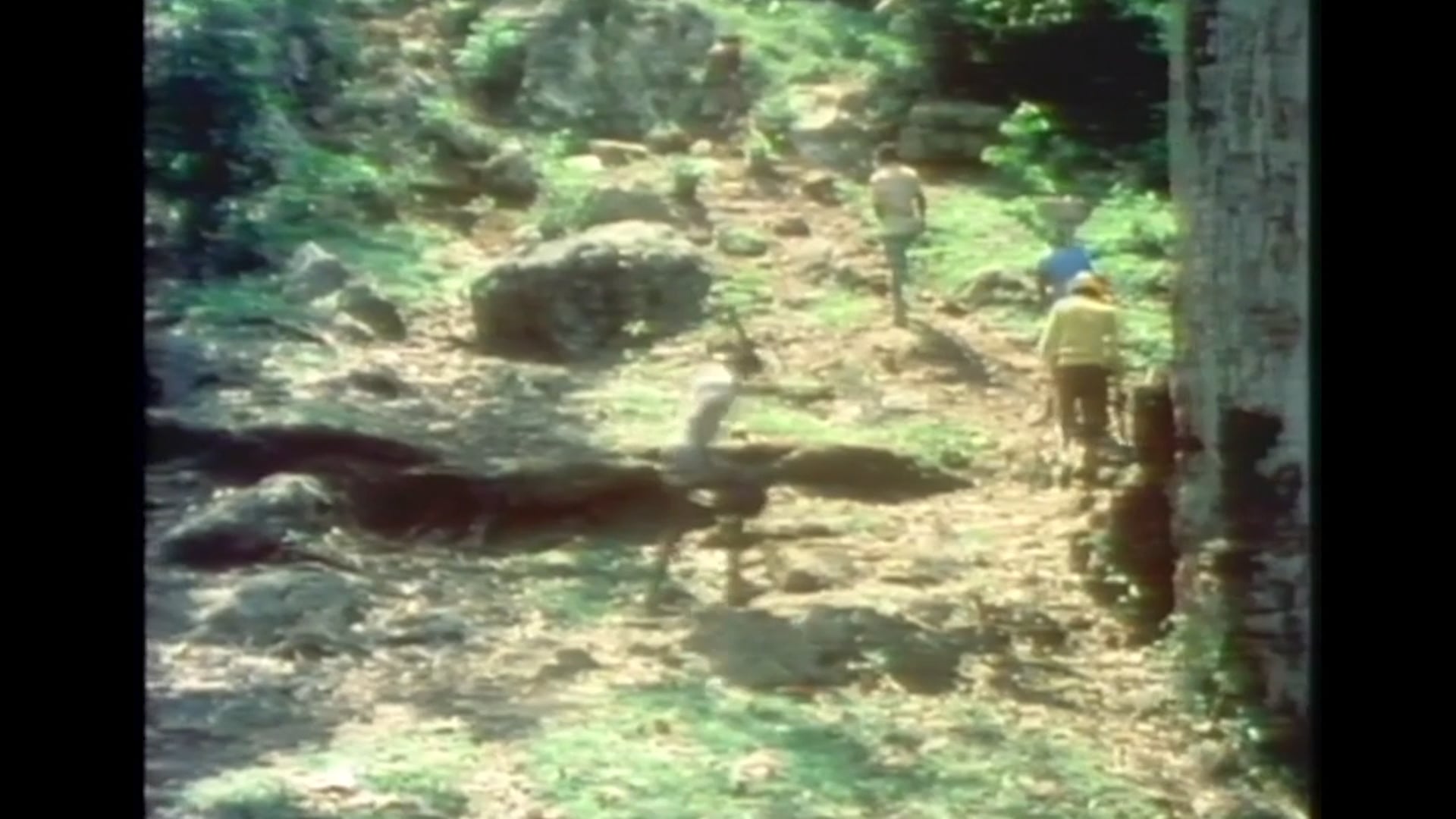 Krik? Krak! Tales Of A Nightmare