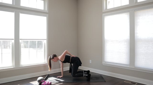 40 MIN ARMS AND ABS