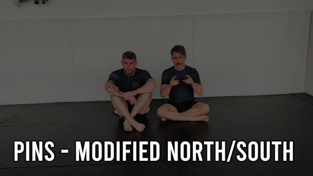 Pins - Modified North/South