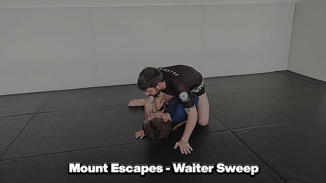 Mount Escapes - Waiter Sweep