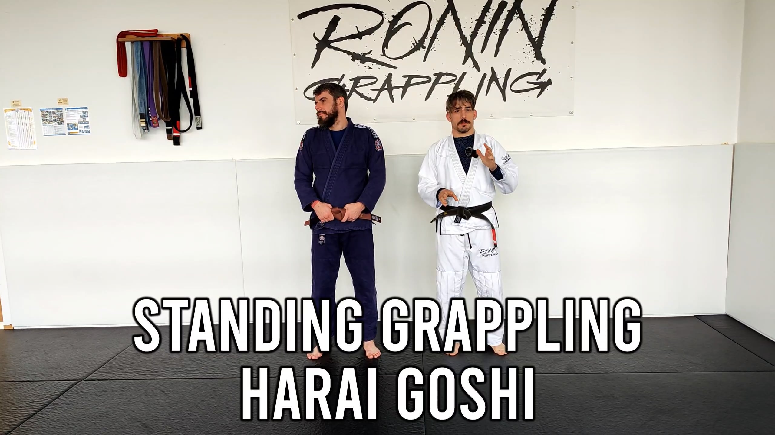 Standing Grappling - Harai Goshi