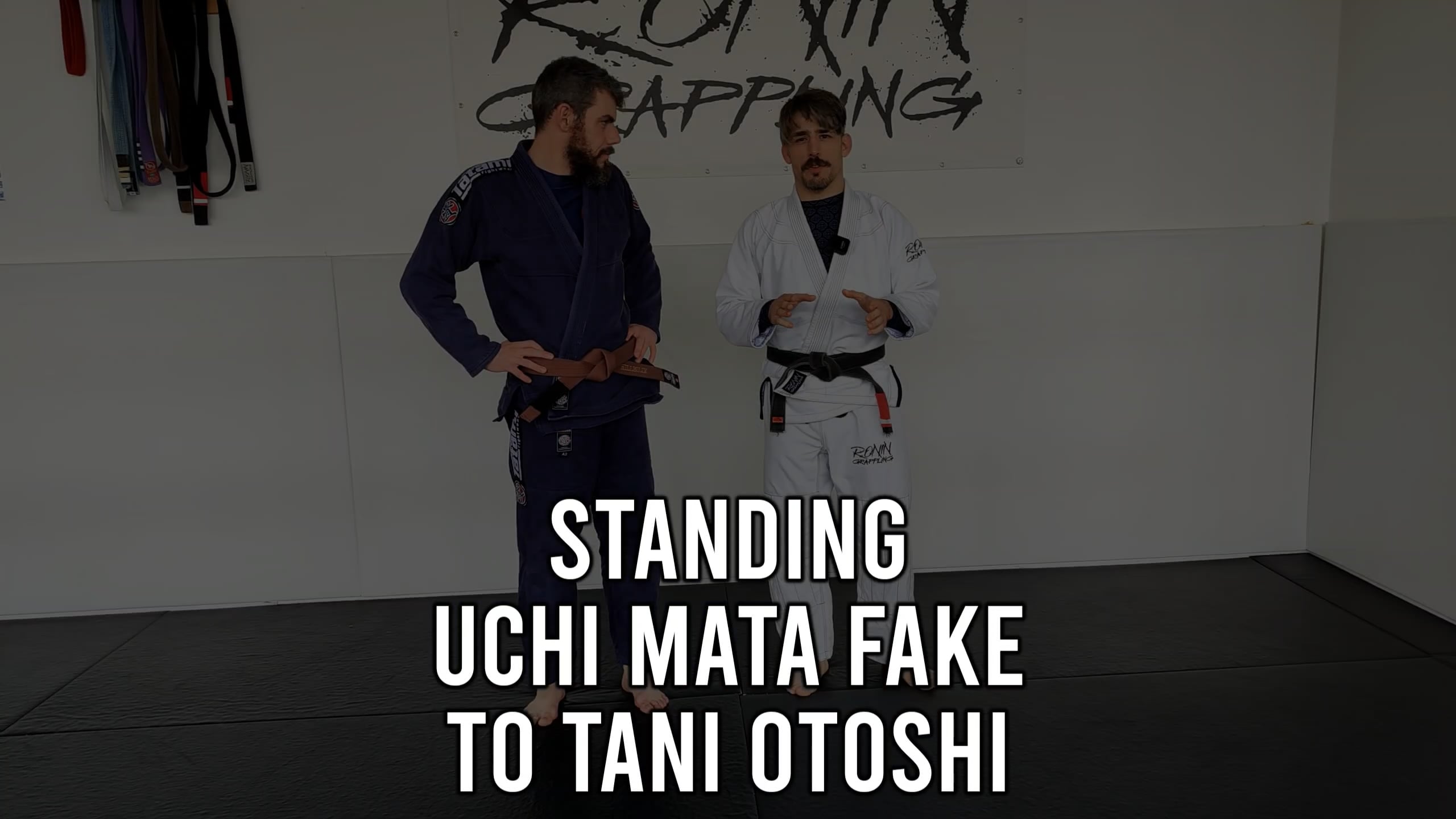 Standing - Uchi Mata Fake to Tani Otoshi