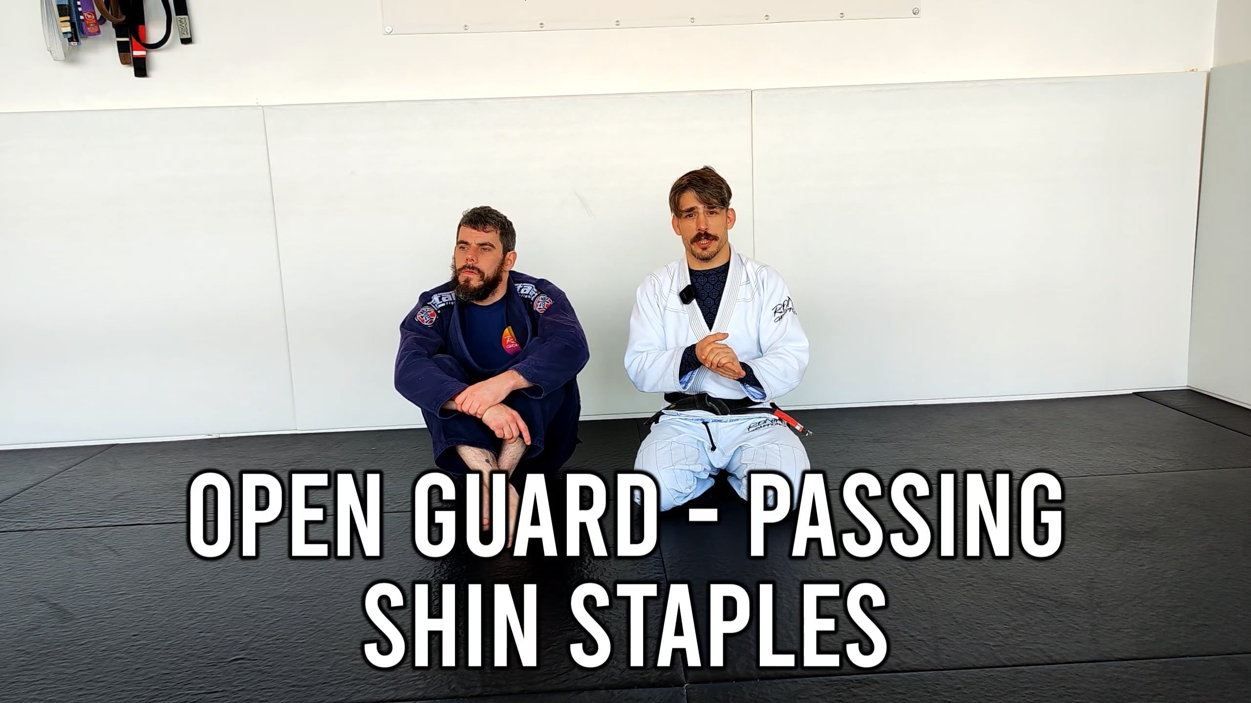 Open Guard - Passing - Shin Staples